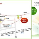 옥천 묘목 축제(충북 옥천) 이미지