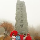 밀양초재 Daum카페