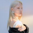 알리 카카오 검색결과