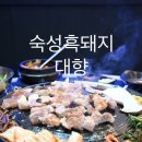 대향흑돼지 이미지