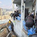 가야1동-10 이미지