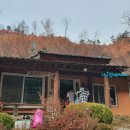 숲속의 웰빙 황토펜션 이미지