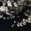 (주)코리아세븐 강동경희대병원점 | 월디페 UMF 움프 어쩌다보니 다 부시고 온 일상 후기