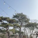 개성가든 네이버블로그