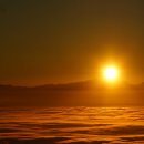 황금물결 이미지