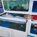 남매수산 이미지