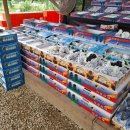 은정농원 이미지