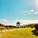 에코랜드수영장 이미지