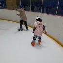 남선공원종합체육관 빙상장 이미지