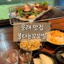 불타는닭숯불 | 문래 창작촌 맛집 불타는꼬꼬발 문래점, 닭목살 구이에 숯불윙봉까지 먹은 후기