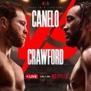 크로포드 이미지