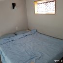 팬더 민박 이미지