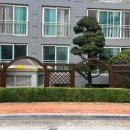 하원서진아파트 | 광주 방충망 교체 내돈내산 후기