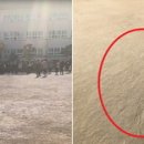 포항중앙여자고등학교 이미지