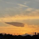 하도리 님과 함께 이미지