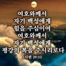 🌺🍒 사라가 이삭을 낳다 이미지