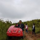 정수농장 네이버블로그
