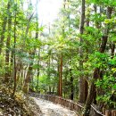 천일각 | 봄이 오는 다산 초당에서 백련사 숲길 걷기