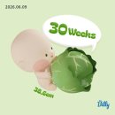 하늘담은의원 | 6월의 일상 | 임신 30주-32주| 임산부 홀터 검사, 한복만삭촬영, 출산휴가 시작
