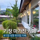 내리1길 | 기장 마가진 카페 루프탑과 정원이 예쁜 대형카페 주차 내돈내산 후기
