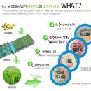 농업회사법인(주)주성