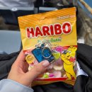 세븐일레븐 부천원미점 | 🔵🟡잘가세요를 까먹을 뻔한 울산팬 [부천FC vs 울산HD] 부천종합운동장 SA구역 5열 1