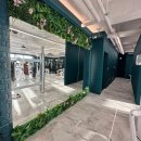 모란모란 이미지