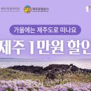 (주)여수관광레저(호텔더시티) 이미지