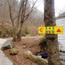 양지생태마을캠핑장 이미지