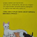 고양이 마을 이미지