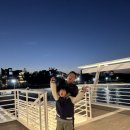 복섬 | 동해안 여행 실패 없는 루트! 1박 2일 강릉·양양·속초 핵심 명소와 맛집 총정리