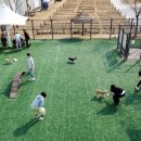 용두2공원화장실 이미지