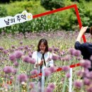 작천커피