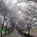 안양K타운오피스텔 이미지