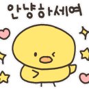 금능리장 이미지