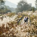 김해 화포천습지 생태박물관 이미지