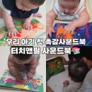 자장자장 | 오감발달책 터치앤필 촉감사운드북 한달 사용후기
