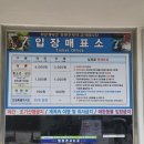 광주광역시청 시민숲둥지 | 동해 가볼만한곳 뚜벅이 여행 무릉계곡 쌍폭포 가격 초심자코스 시간