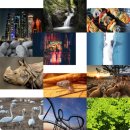 역곡상상시장상인회 이미지