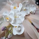 품다 | 남양주 과일을품다 후기｜상견례·첫인사 선물 과일바구니 추천 (퀵가능!)