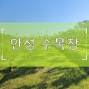 안성 수목장 일죽면 위치와 분양가 총정리