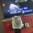 프렌즈코인노래연습장 이미지