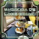 부산 해운대 파라다이스 호텔 라운지에서 한정 도라에몽 특별한 애프터눈티 후기