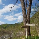 낙동강세평하늘길 이미지