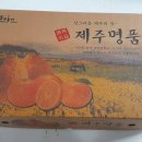 유일농원 네이버블로그