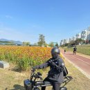 자방모드 | 광주 퀄리 자토바이 엑스트론 미니 16인치 휠셋 150cm 중반 여성 후기