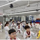 세정태권도장 이미지