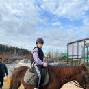 도화지오토캠핑장 이미지