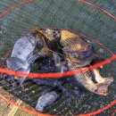 차평낚시터 이미지