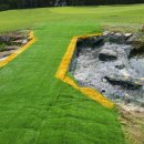 동코스5번 이미지